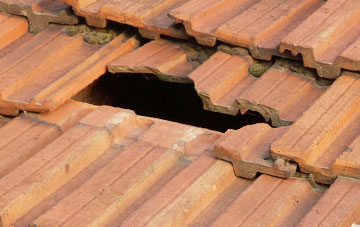 roof repair Helsey, Lincolnshire